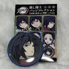 鬼滅の刃 推し隊士バッジコレクション 缶バッジ 冨岡義勇
