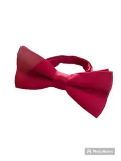 Item thumbnail for item ec476414-41c8-41d1-9d52-61801788f391