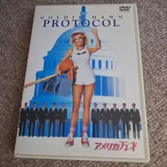 アメリカ万才('84米) SEL版DVD