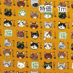 ラスト2点 特価 1m 猫図鑑 マスタード オックス