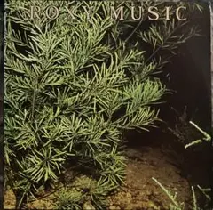 【US盤】Roxy Music Country Life ロキシー・ミュージック