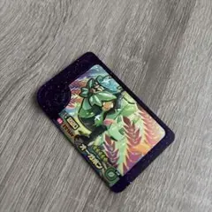 フレンダ　ポケモン　オーガポン　スーパースター