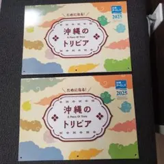 【ひなちゃん】様 沖縄タイムス カレンダー 2025年版 1冊