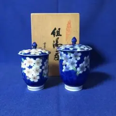 Item thumbnail for item 5553e535-a560-4a37-b938-e2e4243b48c1