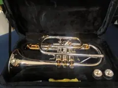 Item thumbnail for item a7d3bde6-6935-4671-8f5d-bb1d3d801f59