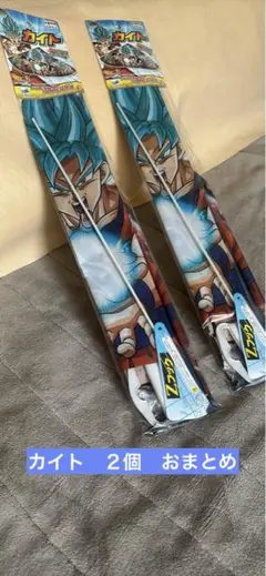 Item thumbnail for item 5c5a2606-0d9e-4efc-8be6-9b66b3cf7850