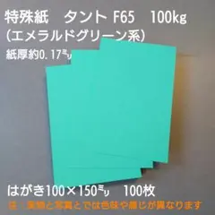 特殊紙タント100kg（エメラルドグリーン系）はがき100×150㍉、100枚