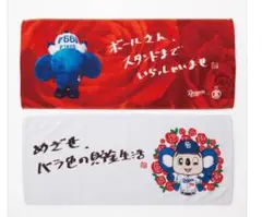 ジェイアール名古屋タカシマヤ限定　中日ドラゴンズ　ドアラ　タオル　2枚