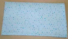 Item thumbnail for item 08b0854f-fba8-40d3-ad34-f1a61cb8f9b4
