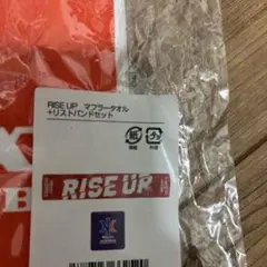 オイシックスリストバンドタオルセット