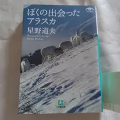ぼくの出会ったアラスカ 星野道夫