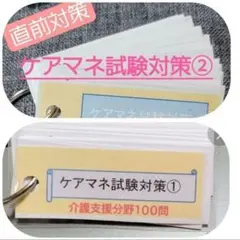 Item thumbnail for item 77bb9982-21cc-4abf-9746-dcc07e975e91