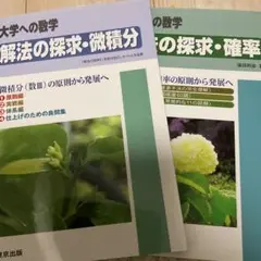 解法の探求・微積分　確率