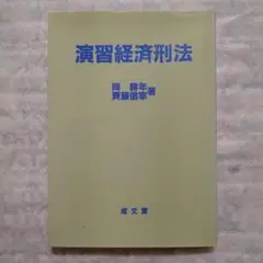 演習経済刑法