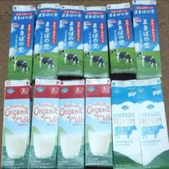 牛乳パック　12本　未解体 匿名 即日発送 夏休み宿題