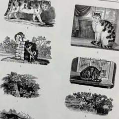 【1800点以上】木版画カット集 コラージュやジャンクジャーナル素材に