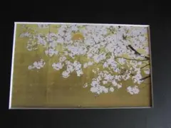 【真作】★絵画★那波多目功一　日本画6号　秋果　共シール　箱・黄袋入★L87 他の人はこちらも検索 日本画6号 真作】☆絵画☆那波多目功一 秋