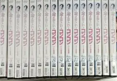 【訳あり】金よ出てこいコンコン DVD 34枚セット　レンタル落ち
