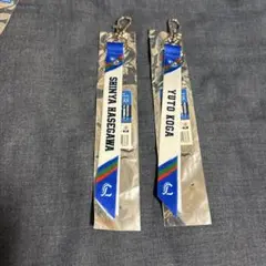 【新品未使用】埼玉西武ライオンズ マッチデーボンフィン 東京ドー厶 古賀・長谷川