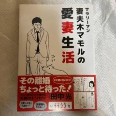 サラリーマン妻夫木マモルの愛妻生活　田中光　【匿名配送】