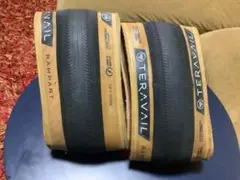TERAVAIL rampart tire (black/tan)【美品】