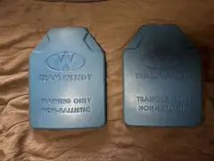 2025年最新】TeAM wendy プレートの人気アイテム - メルカリ