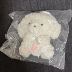じょせまる おぱんつ ガチャガチャ