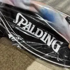 ✨新品スポルディング SPALDING バスケット ボールバッグ　マルチカラー
