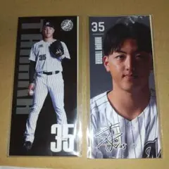 千葉ロッテマリーンズ 35 田中晴也選手 フォトシール セット