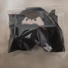 ハイキュー!!　くるみたぴぬい　影山飛雄