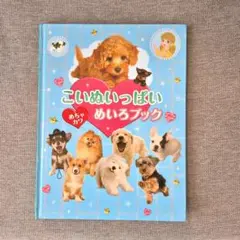 お値下げ中　こいぬいっぱい めちゃかわ　めいろブック　金の星社