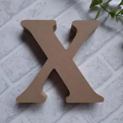 ダイソー　MDFアルファベット　文字オブジェ イニシャル　【X】　新品未使用品