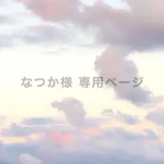 なつか様専用ページ B7 硬貨ケース デコ