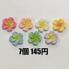 1セット◉ プルメリア ハイビスカス ネイル デコパーツ ホイップ ぬいスト