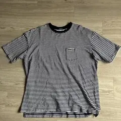 LACOSTE ラコステ exclusive edition tシャツ サイズ5
