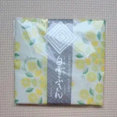 Item thumbnail for item c05d56c7-1cd7-4451-b242-6b03af80ef8c