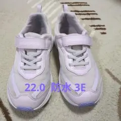 Item thumbnail for item 5b7169f1-1eb1-4869-ba11-1b7f272b5f1e