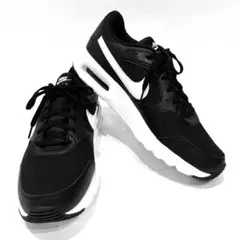 Item thumbnail for item 9b0834bc-33d9-4e3a-86ed-66802fbf4c36