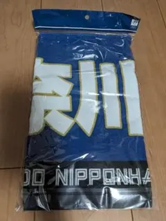 北海道日本ハムファイターズ　神奈川から来ました！応援タオル 　未使用品