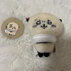 もちっとぷちミニマスコット　ラッコ