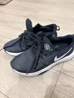 Item thumbnail for item 2160544e-8623-40e8-b16c-43169b45b806