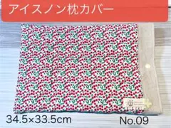 No 09アイスノン　ソフト カバー