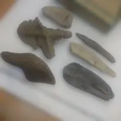 Item thumbnail for item 4c7f672a-506e-48bd-a25a-9b12c6daeeb8