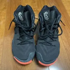 Item thumbnail for item a1f0e461-f0f0-49a4-a09b-c9f12e4c90e2