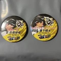 阪神タイガース　イチオシ缶バッジ　1.8