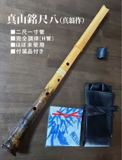 2025年最新】真山 尺八の人気アイテム - メルカリ