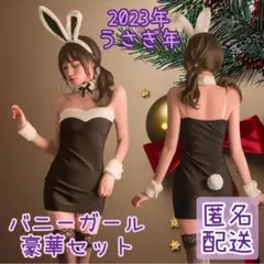匿名発送 バニーガール 干支 うさぎ年 コスプレ