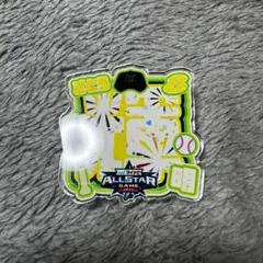 阪神タイガース 佐藤輝明 マイナビオールスター アクリルネームバッジ