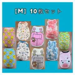 Item thumbnail for item 559c425e-bd4b-4d94-9f52-5f9a92924057