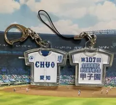 第107回全国高等学校野球選手権大会キーホルダー【豊橋中央】【他の学校も可能】